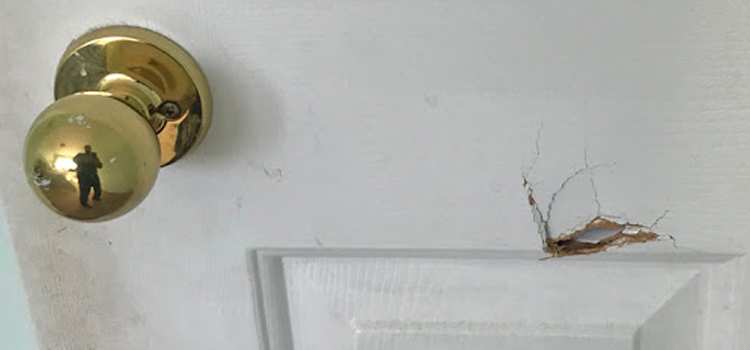 interior door hole repair Rossmoor