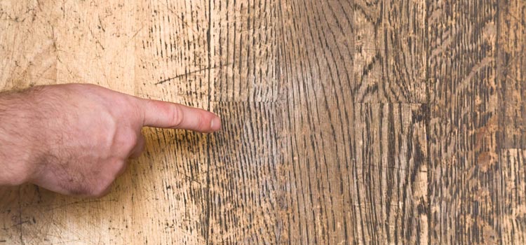 Wood Door Scratch Repair in Rossmoor